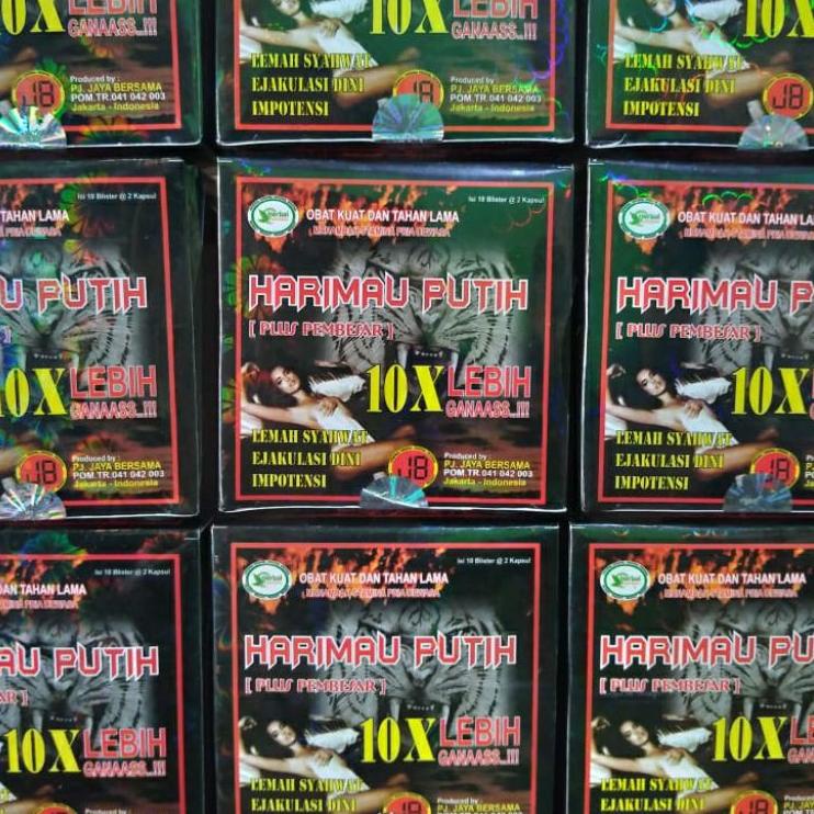 Harimau putih 10x 387