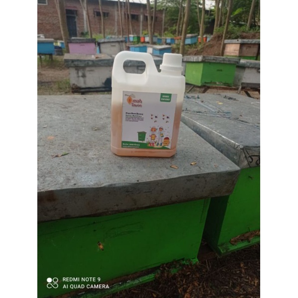 

madu murni asli / madu multiflora / pure honey 100gr - 1000gr