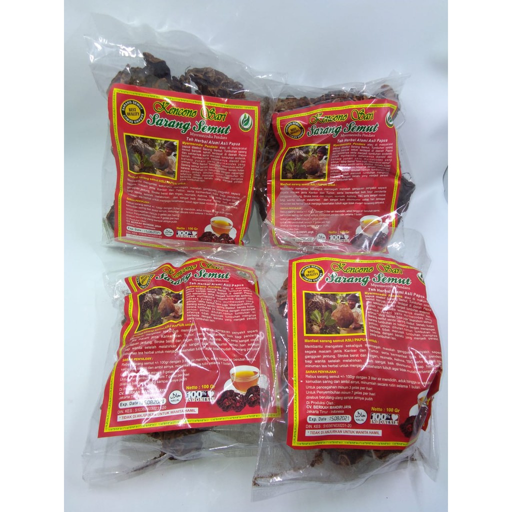 Sarang Semut Curah Herbal Asli 100% Original Papua