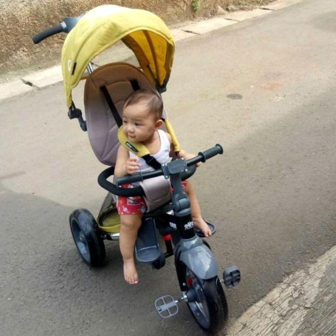 SEPEDA RODA TIGA ANAK FAMILY ELITE TIGER FDG54654E