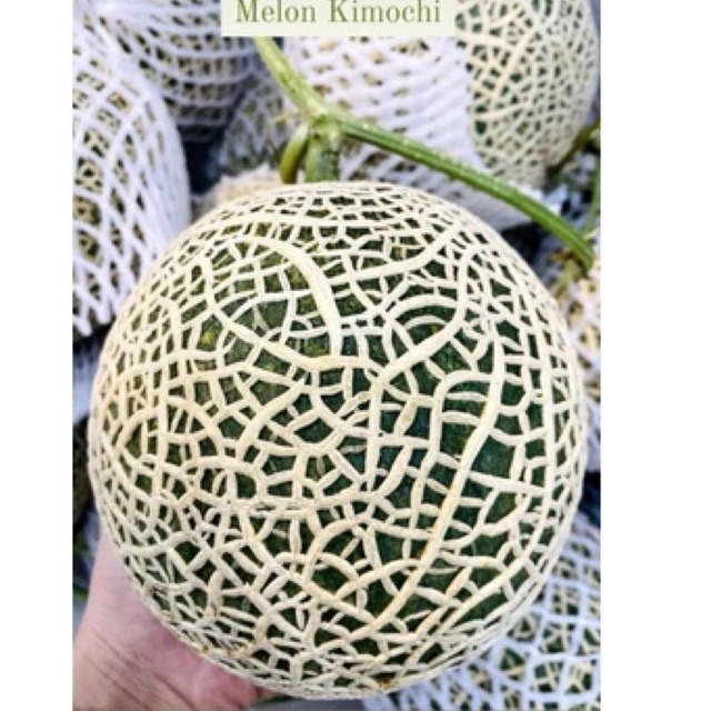 

Melon kimochi
