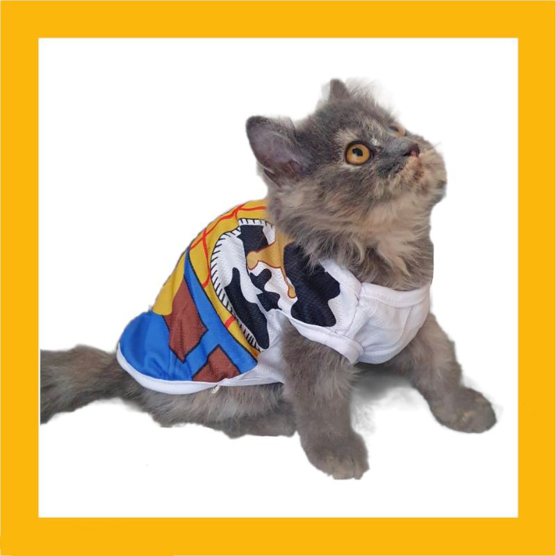 Kitten Kucing Persia Medium Exo Flatnose Peaknose Calico Dilute