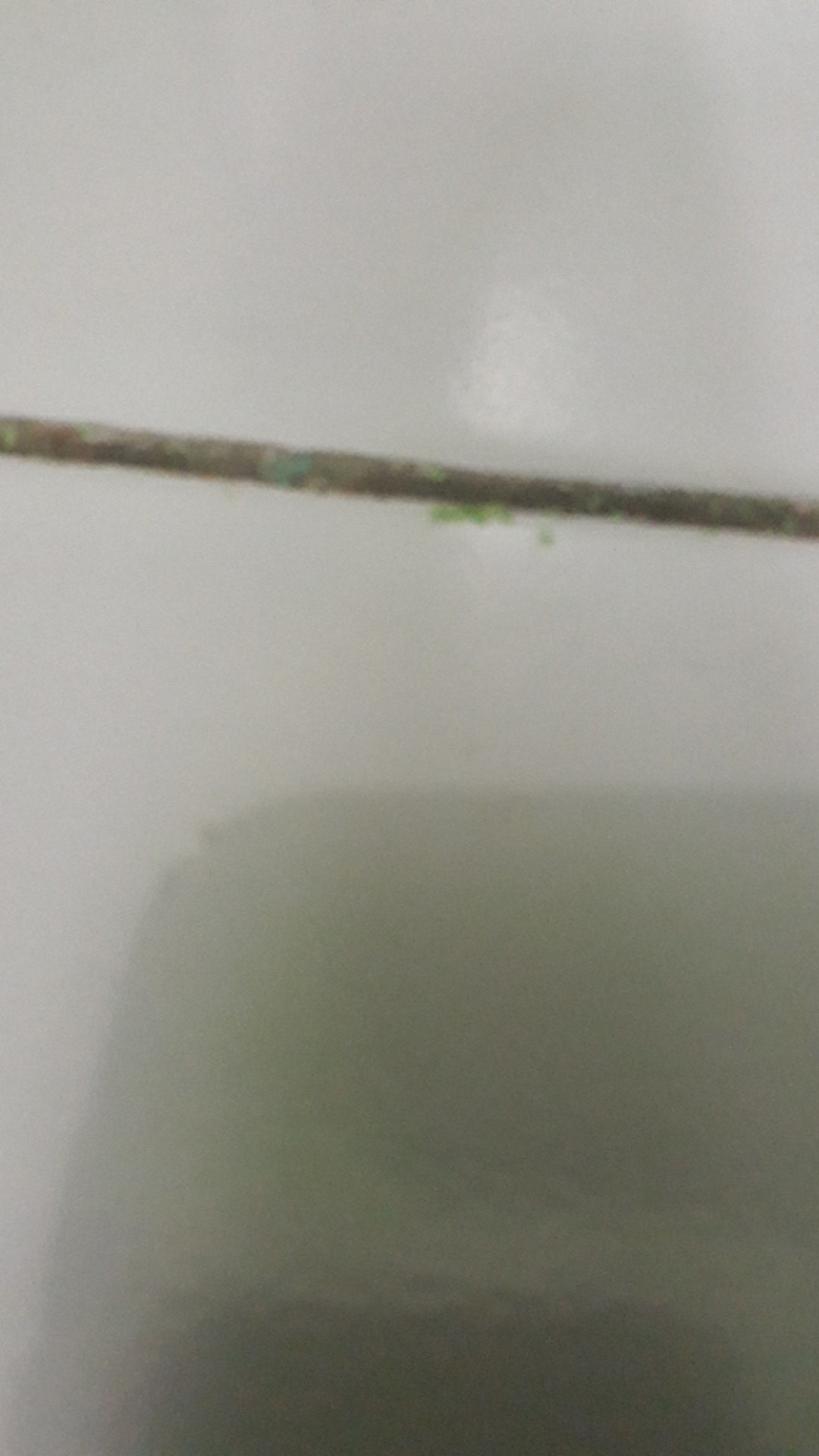 Gelas Bambu Gelas Minum Kopi Teh Gelas Cafe Gelas Unik Mug Bambu Eco Gift Product Gelas Natural