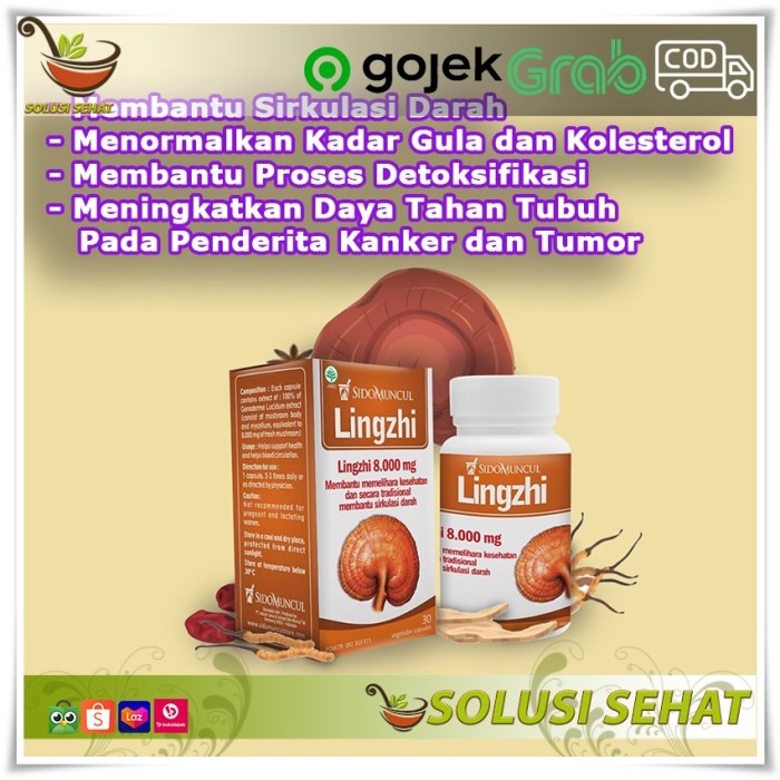OBAT HERBAL JAMUR LINGZHI SIDOMUNCUL DETOKSIFIKASI - DAYA TAHAN TUBUH TERLARIS