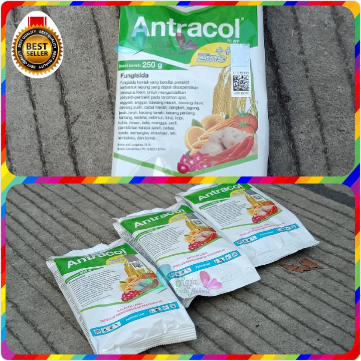 Fungisida Antracol 70 Wp 250 Gram Gr Obat Tanaman Jamur Untuk Anggrek Dan Tanaman Lain | Bukan Pupuk