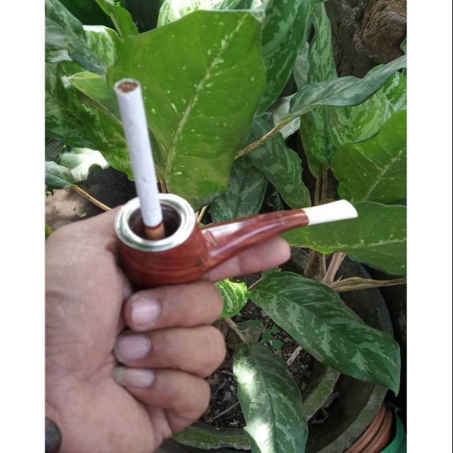 Cangklong kayu galih nagasari kombinasi tulang