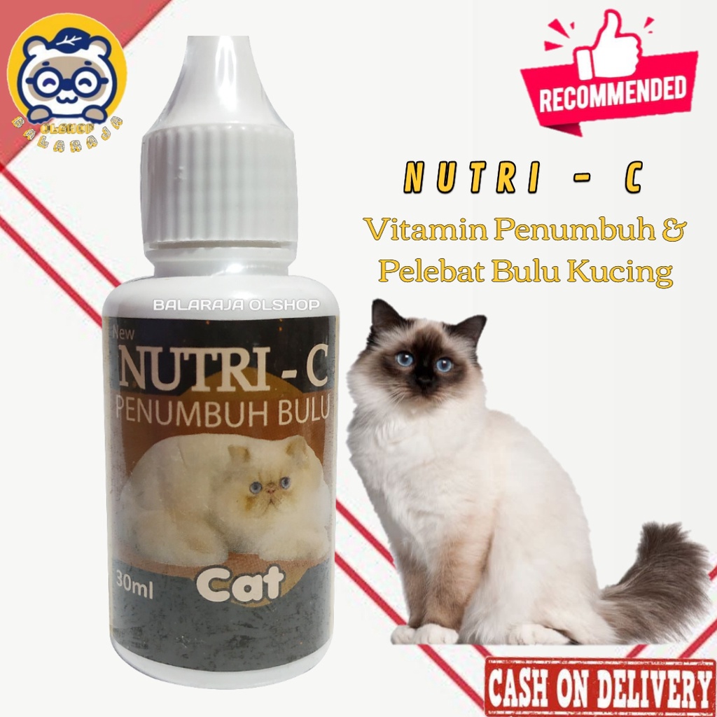 VITAMIN PENUMBUH BULU KUCING OBAT KUCING BULU RONTOK - NUTRI C