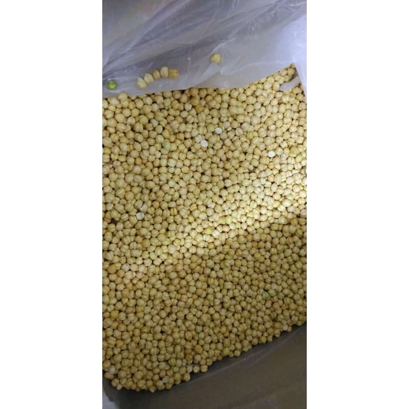 Kacang arb / kacang humus 1kg