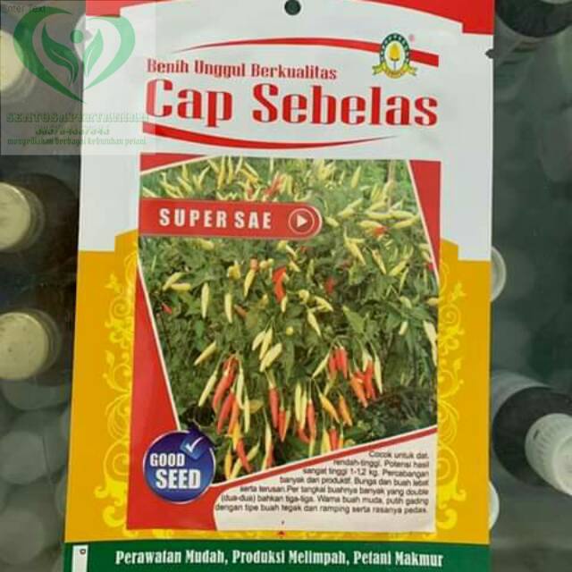 benih cabai rawit SUPER SAE 10gr dari CAP SEBELAS
