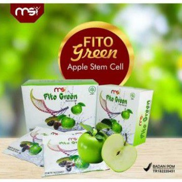 

MSI Fito Green