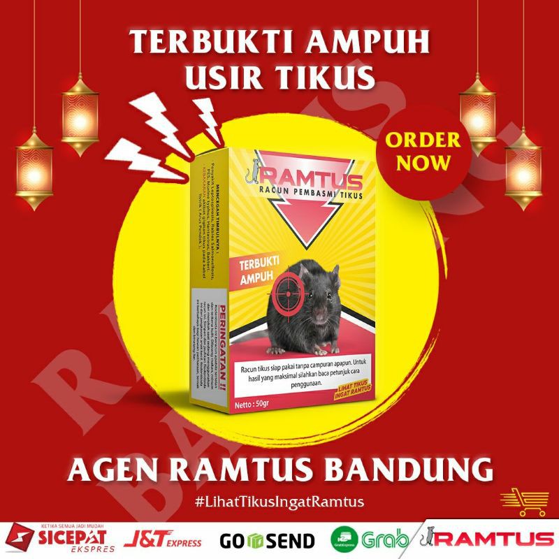 Ramtus Racun Tikus Ampuh Basmi Tikus