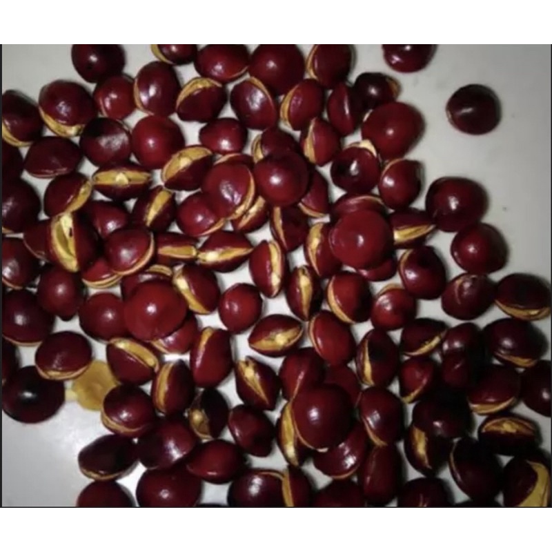 

BIJI SAGA JARANG SANGRAI pouch