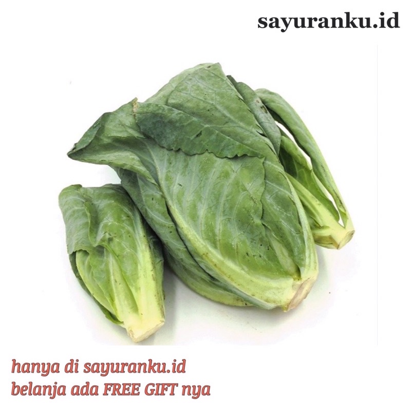 

Ceciwis / Ciwis / Keciwis / Cuciwis 250 gram