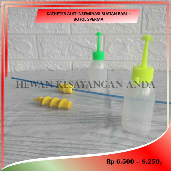 Katheter Alat Inseminasi Buatan Babi + Bottle Semen Botol Sperma Babi