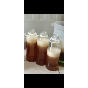 

MADU KUNING HUTAN SUMATERA ±610 GRAM