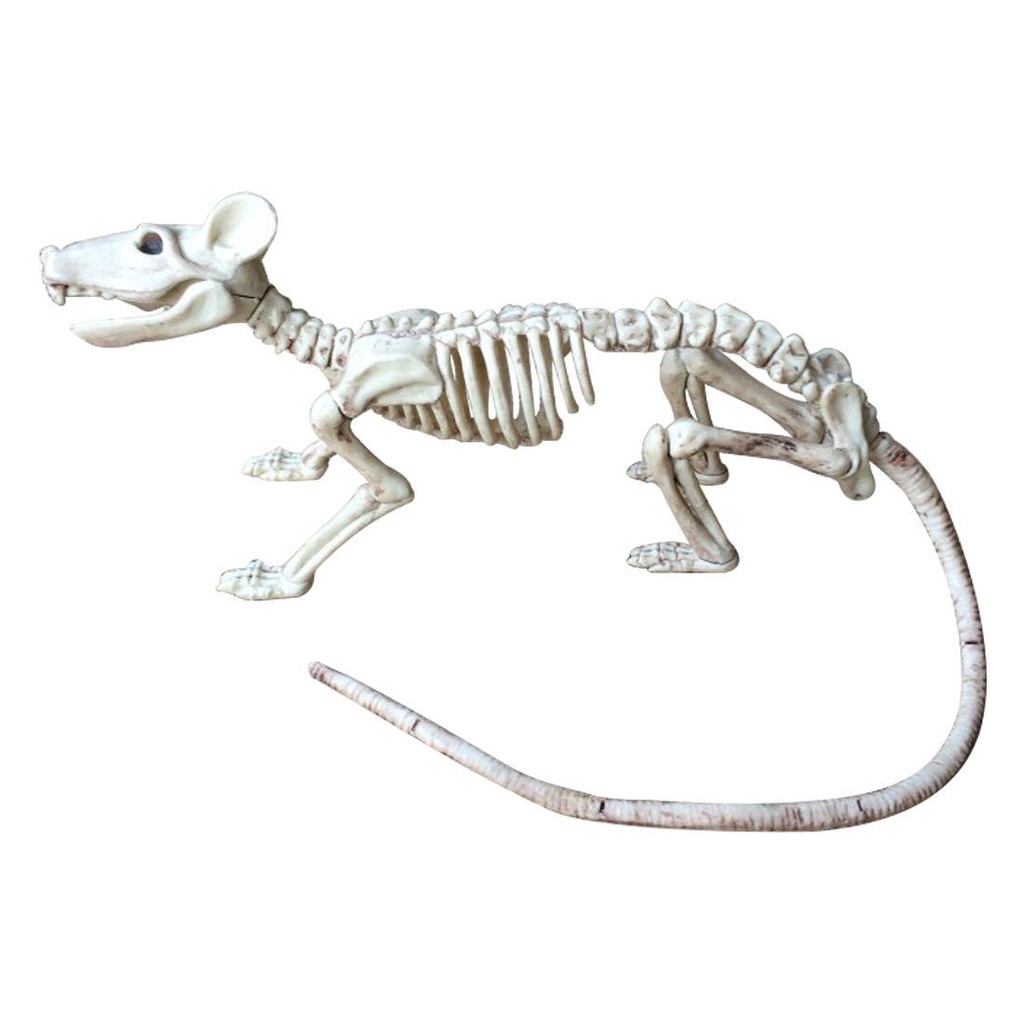 Suyo Tengkorak Scorpion Spider Bat Mouse Model Imitasi Untuk Dekorasi Halloween