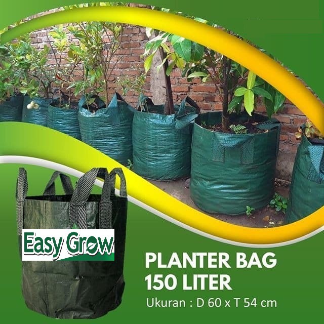Planter Bag 150 Liter Original Easy Grow - PLANTER BAG HIJAU 150 LITER - Tambulampot