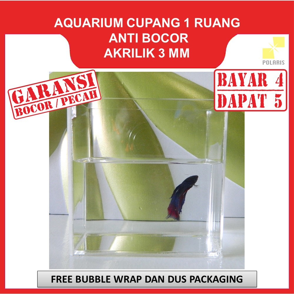 AKUARIUM IKAN CUPANG AKRILIK / AQUARIUM ACRYLIC IKAN HIAS / SOLITER IKAN CUPANG