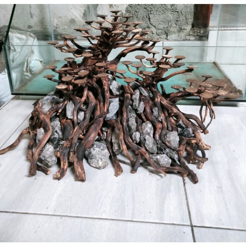 BONSAI AQUASCAPE // HARDSCAPE BONSAI // BONSAI // AQUASCAPE