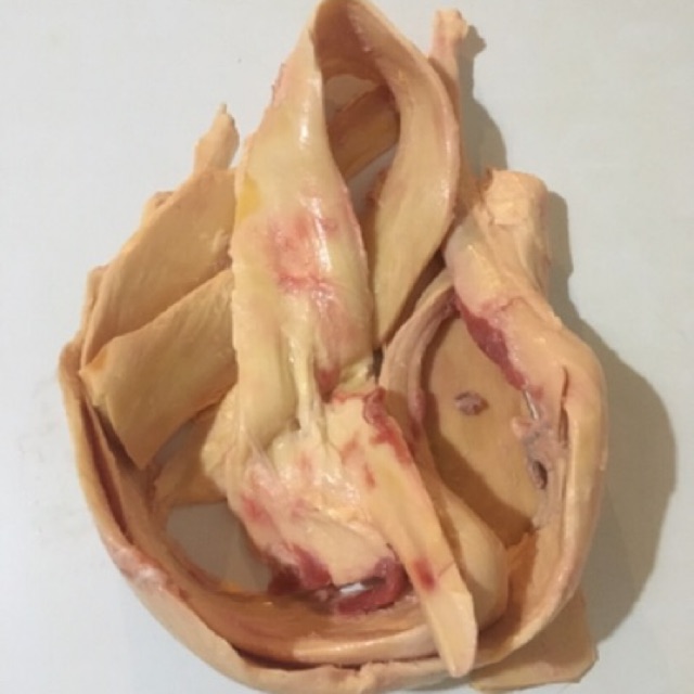 

urat mayang / Tendon @1kg