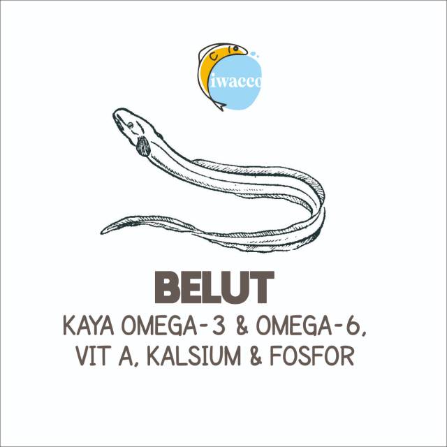 

Kerupuk Belut Anak Iwacoo