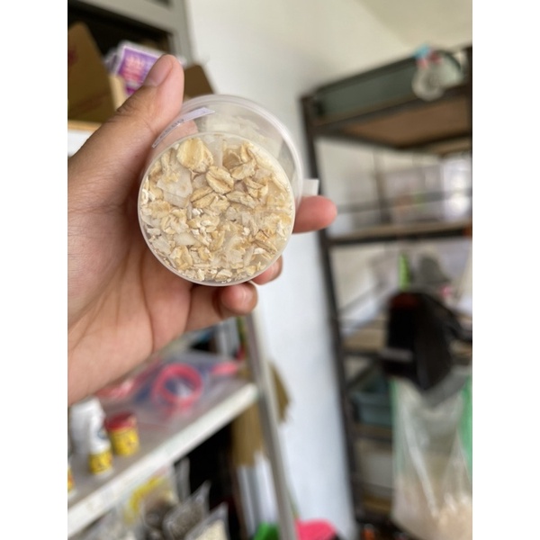 formula hamster, camilan sehat, treats hamster, mix premium seed