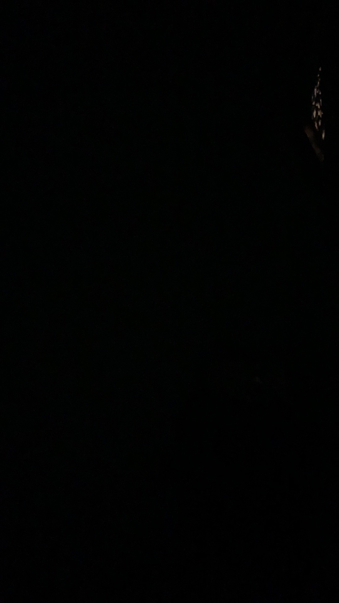 Besek Bambu 15x15 Ber Warna Besek Nasi 15cm X 15 Cm Sepasang