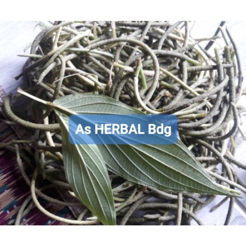 

Buah sirih hutan paket 100 gram hemat-az