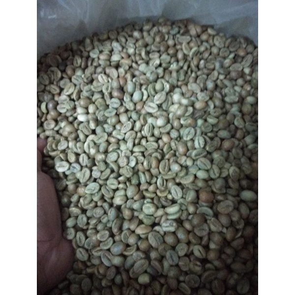 

ROBUSTA TEMANGGUNG G1 SORTASI