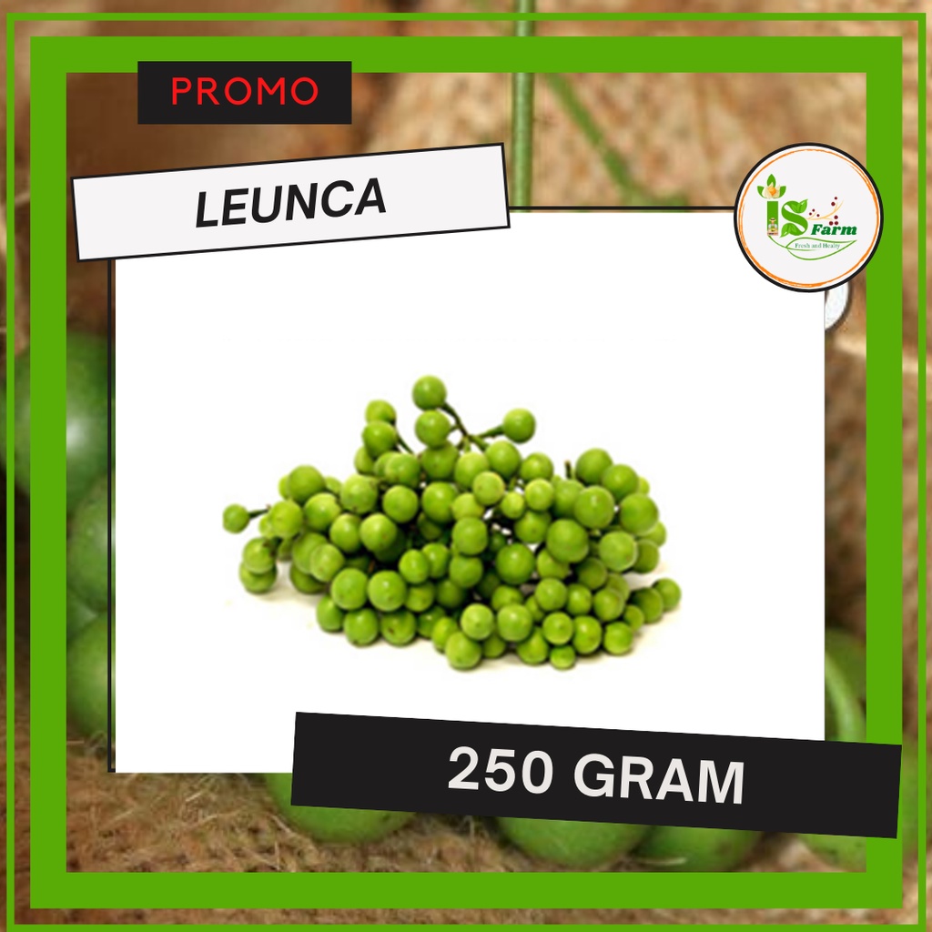 

Leunca / Lenca 250 gram