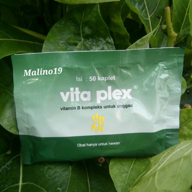 Vita Plex Vitamin B Kompleks untuk Unggas
