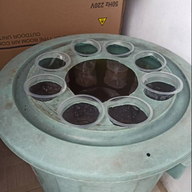 Paket Lengkap BUDIKDAMBER Lele