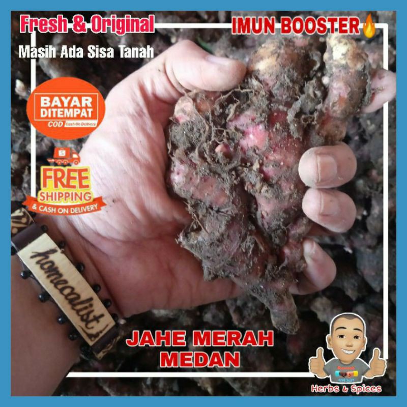 Jahe merah segar 500gram Jahe merah medan fresh