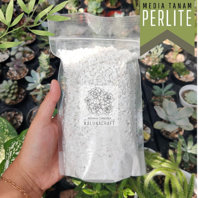 70 gr Batu Perlite 3-5 mm Vulkanik campuran Media Tanam Kaktus Sukulen tanaman Hias