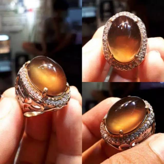 CICIN pria cicin bio solar kopi top HQ