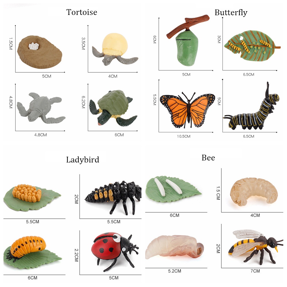 Mainan Simulasi Model Hewan Butterfly Ladybug Ayam Capung Untuk Edukasi Anak Tk