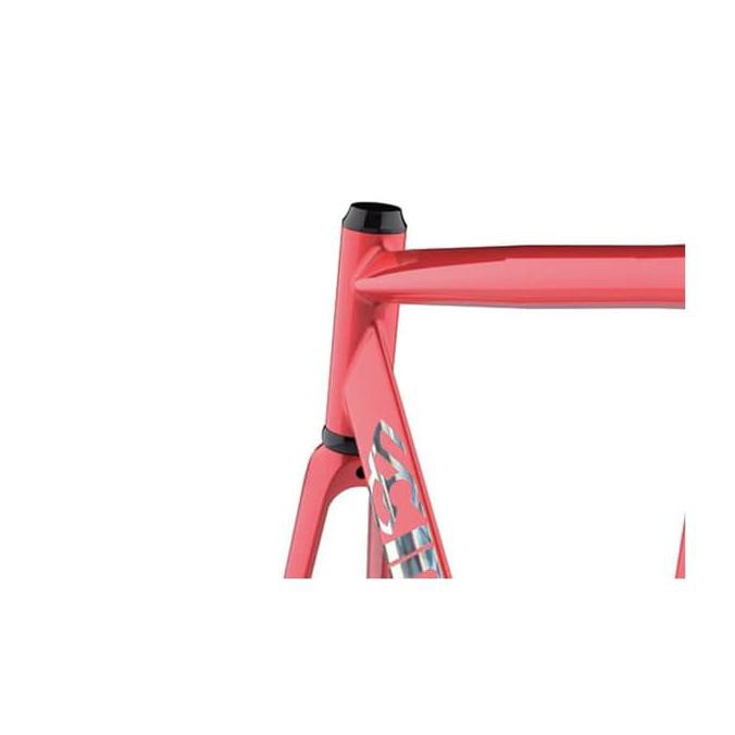 最終値下げcinelli vigorelli shark xs フレームセット 全国通販OK