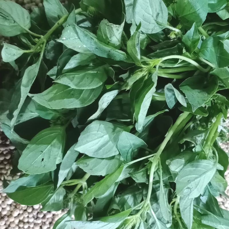 Daun Kemangi Segar Fresh 100 gram