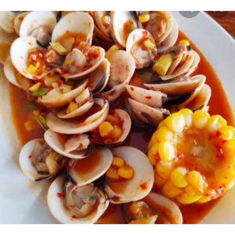 

kerang tahu/kepah