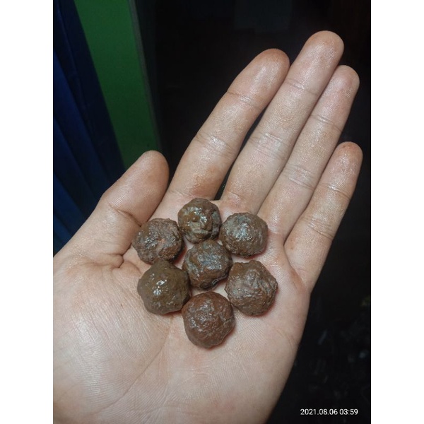 7 biji munta besi / monta bassi aktif bahan sabuk