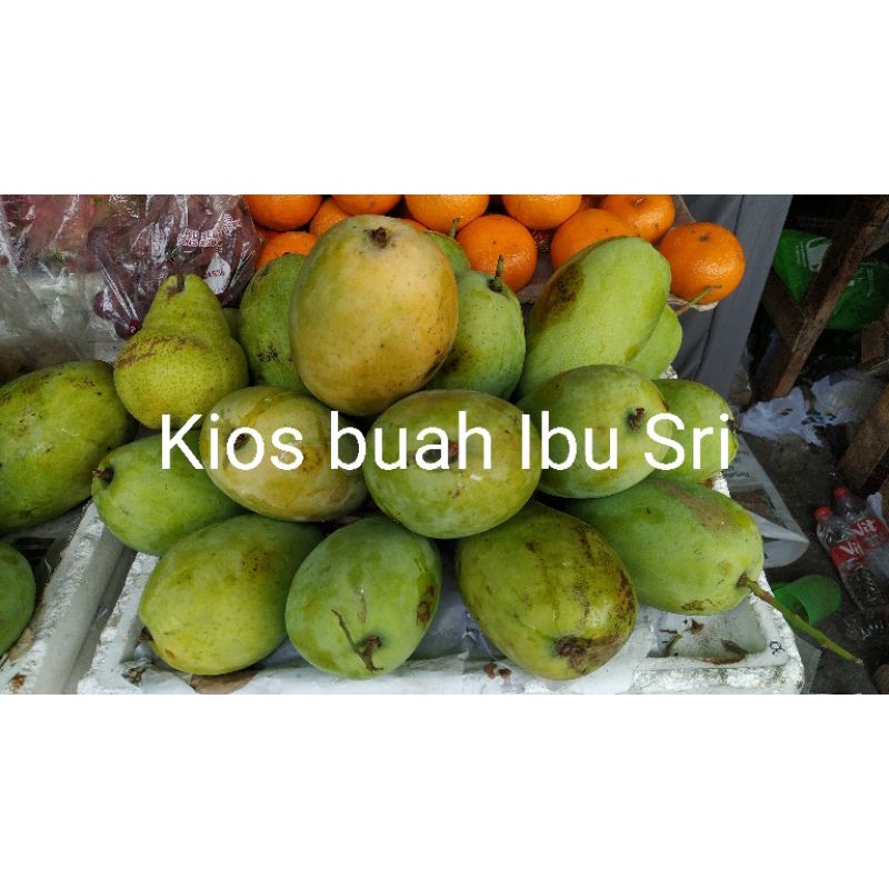 

Mangga Budiraja