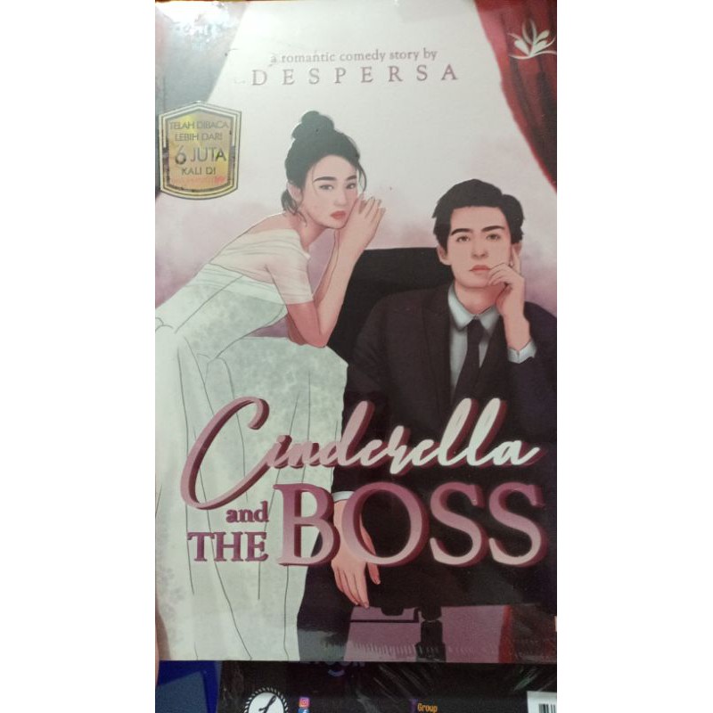 Cinderella and the boss despersa