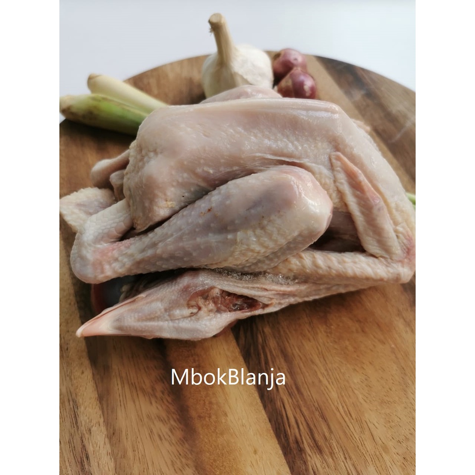 

Termurah Ayam Kampung Beku Ukuran Sedang 900 gram/Frozen Ayam Kampung
