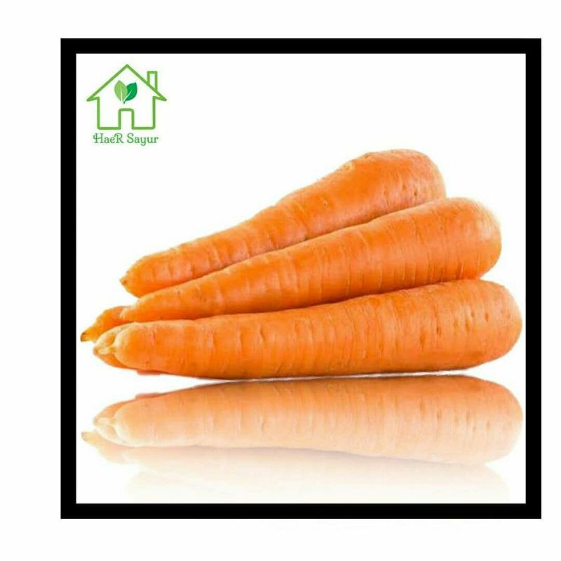 

Sayur Wortel Impor Berastagi Super 500g/1kg