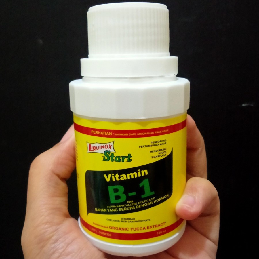 Pupuk Vitamin B1 Tanaman Liquinox vitamin tanaman anti stress