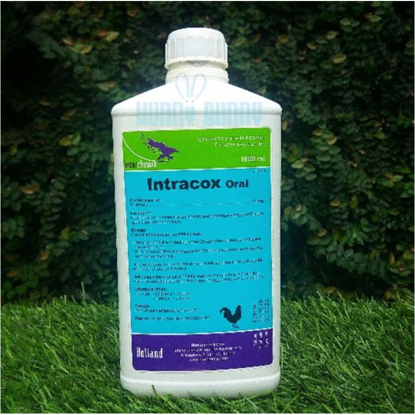 Intracox 1 Liter Obat Koksidiosis hewan