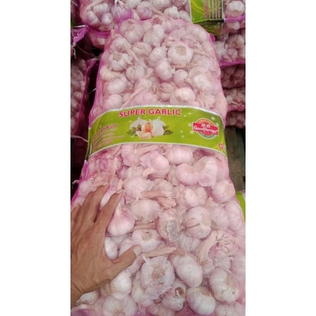 

bawang putih
