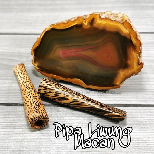 Pipa Cangklong Once Kayu Liwung Macan Size Mini