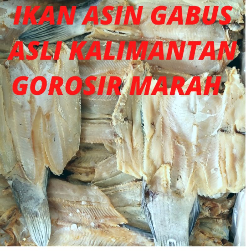 

IKAN ASIN GABUS ASLI KALIMANTAN IKAN ASIN AIR TAWAR TOMAN JAMBAL ASIN