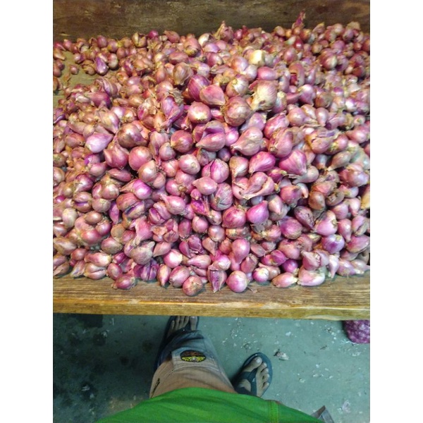 

Bawang merah Brebes
